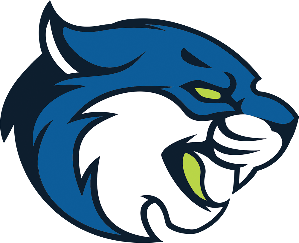 Bryant & Stratton College (Ohio)